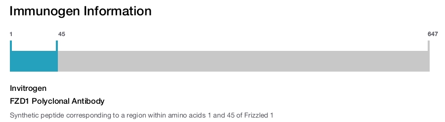 FZD1 Polyclonal Antibody