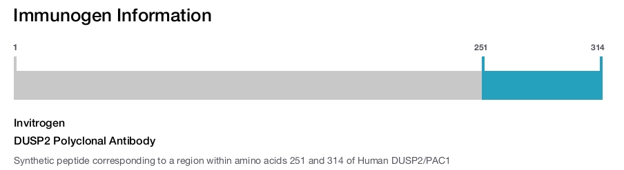 DUSP2 Polyclonal Antibody