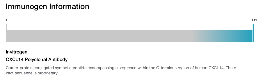 CXCL14 Polyclonal Antibody