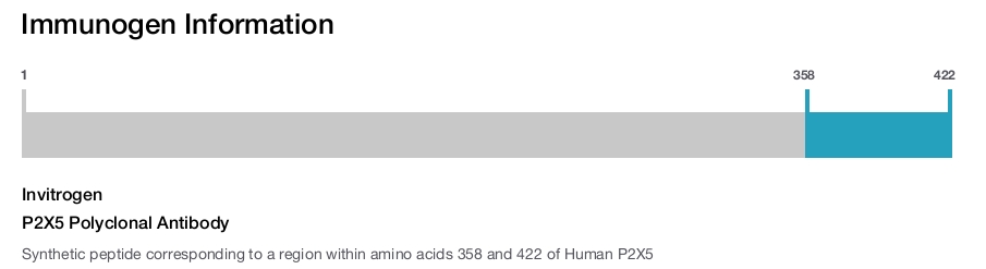 P2X5 Polyclonal Antibody