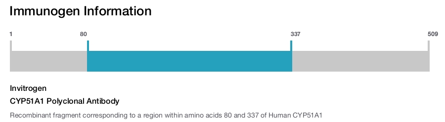 CYP51A1 Polyclonal Antibody