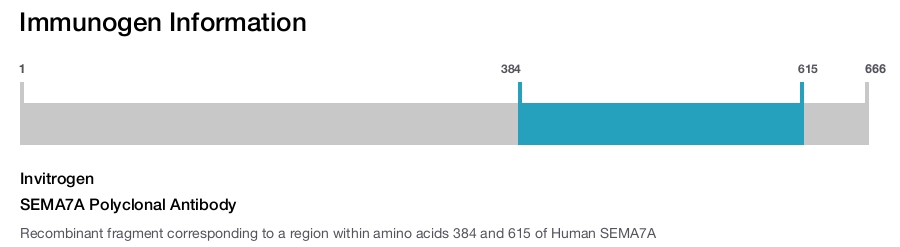 SEMA7A Polyclonal Antibody