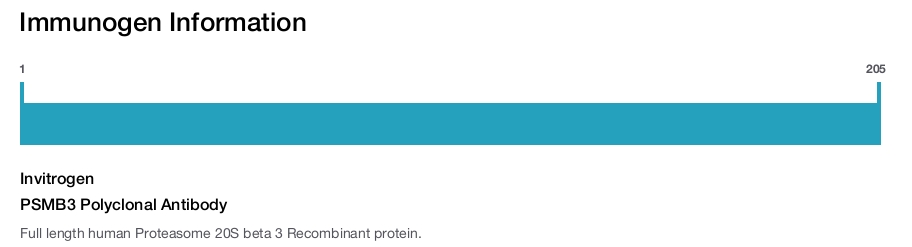 PSMB3 Polyclonal Antibody