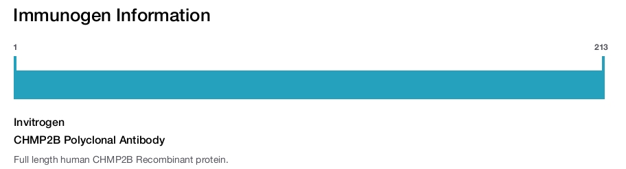 CHMP2B Polyclonal Antibody