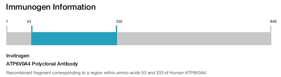 ATP6V0A4 Polyclonal Antibody