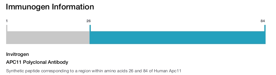 APC11 Polyclonal Antibody