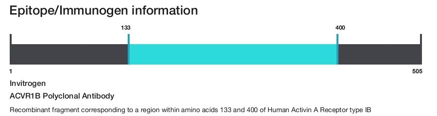ACVR1B Polyclonal Antibody