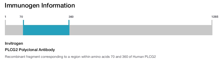 PLCG2 Polyclonal Antibody