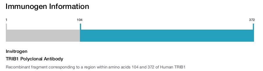 TRIB1 Polyclonal Antibody