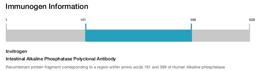 Intestinal Alkaline Phosphatase Polyclonal Antibody