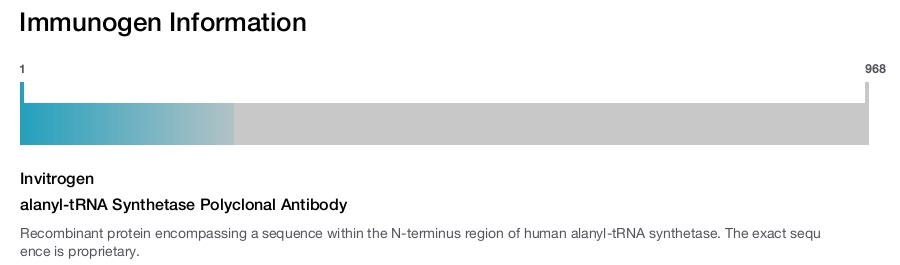 alanyl-tRNA Synthetase Polyclonal Antibody