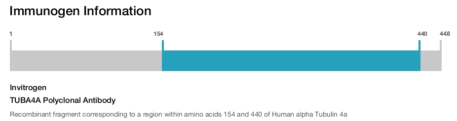 TUBA4A Polyclonal Antibody