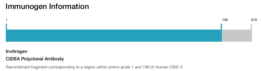 CIDEA Polyclonal Antibody