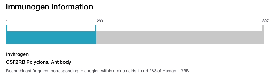 CSF2RB Polyclonal Antibody