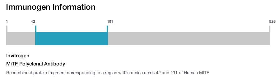 MiTF Polyclonal Antibody