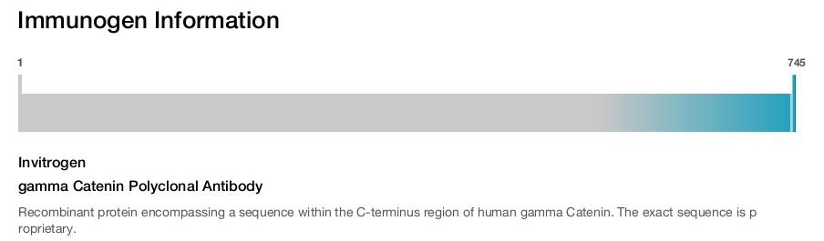 gamma Catenin Polyclonal Antibody