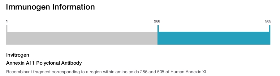 Annexin A11 Polyclonal Antibody