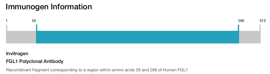 FGL1 Polyclonal Antibody