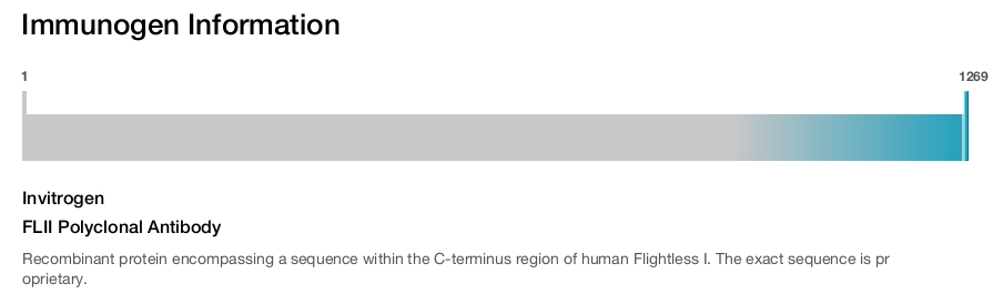 FLII Polyclonal Antibody