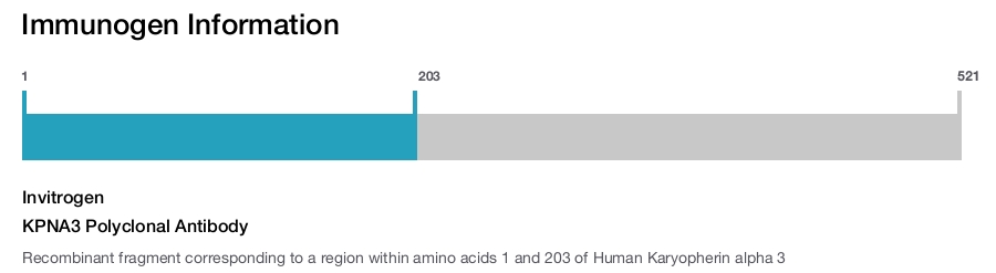 KPNA3 Polyclonal Antibody