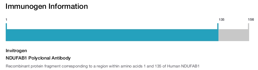 NDUFAB1 Polyclonal Antibody