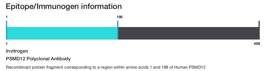 PSMD12 Polyclonal Antibody