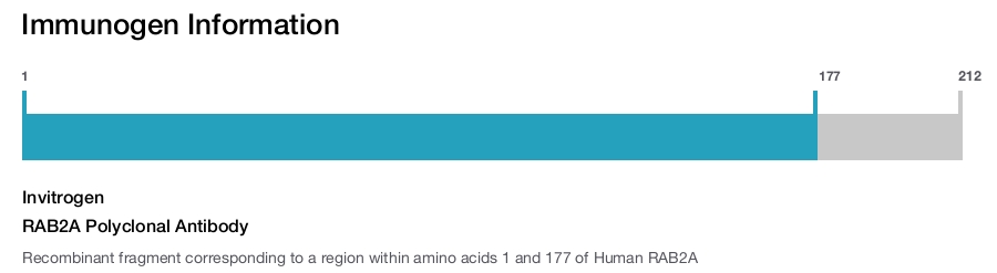 RAB2A Polyclonal Antibody