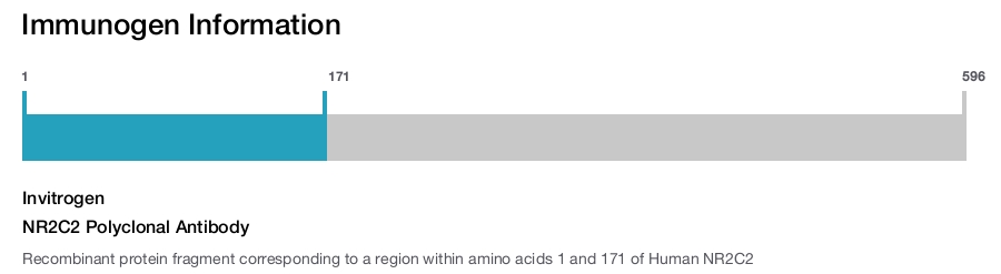 NR2C2 Polyclonal Antibody