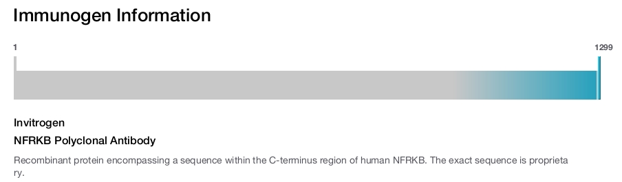 NFRKB Polyclonal Antibody