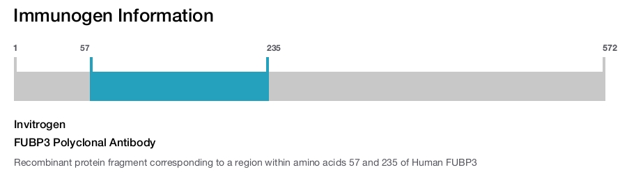 FUBP3 Polyclonal Antibody