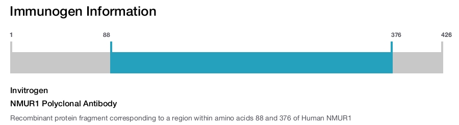 NMUR1 Polyclonal Antibody
