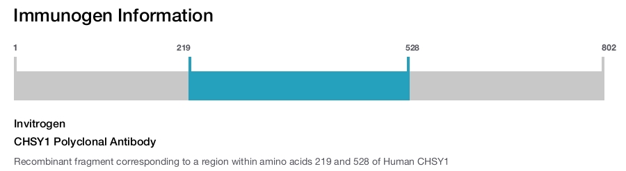 CHSY1 Polyclonal Antibody