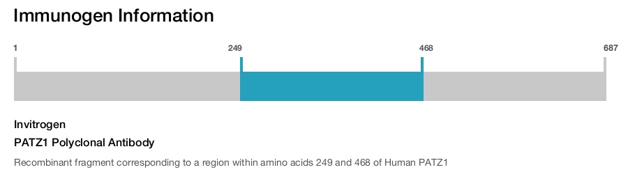 PATZ1 Polyclonal Antibody