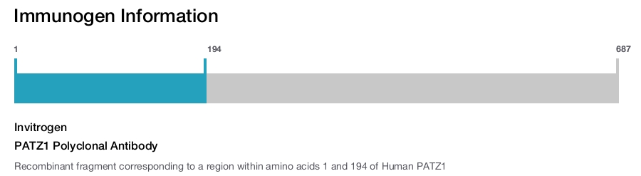 PATZ1 Polyclonal Antibody