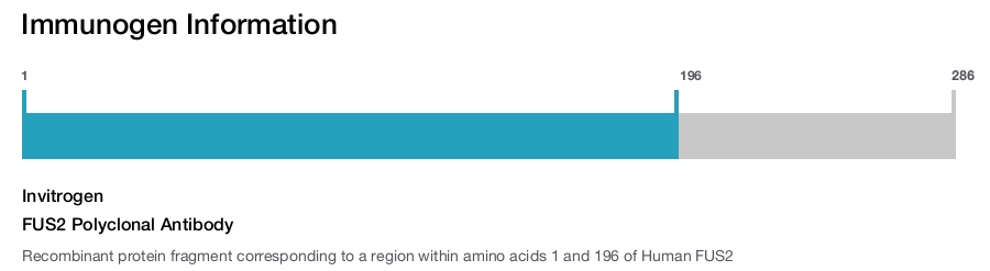 FUS2 Polyclonal Antibody