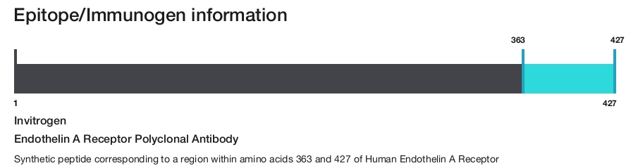 Endothelin A Receptor Polyclonal Antibody