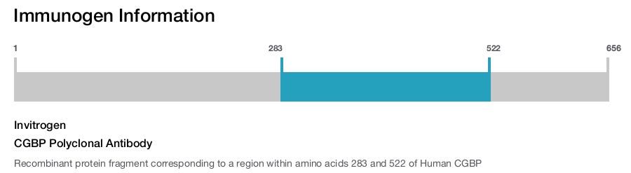 CGBP Polyclonal Antibody