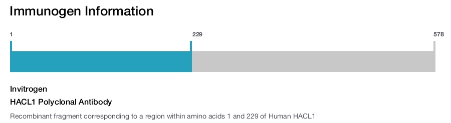 HACL1 Polyclonal Antibody