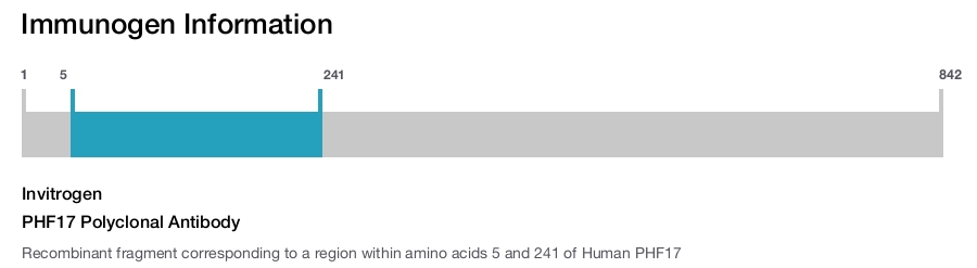 PHF17 Polyclonal Antibody