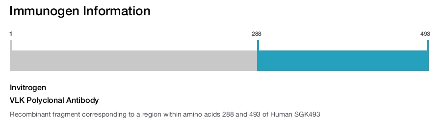 VLK Polyclonal Antibody