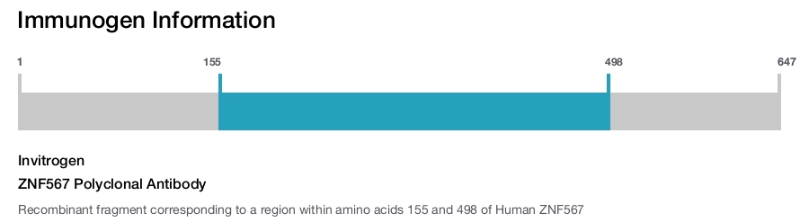 ZNF567 Polyclonal Antibody