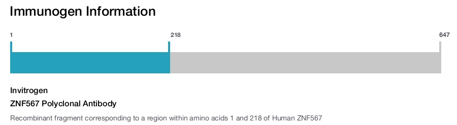 ZNF567 Polyclonal Antibody