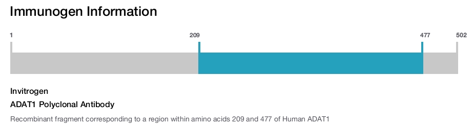 ADAT1 Polyclonal Antibody