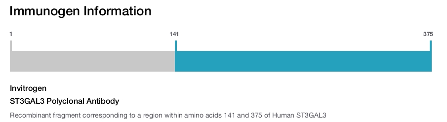 ST3GAL3 Polyclonal Antibody