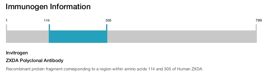 ZXDA Polyclonal Antibody