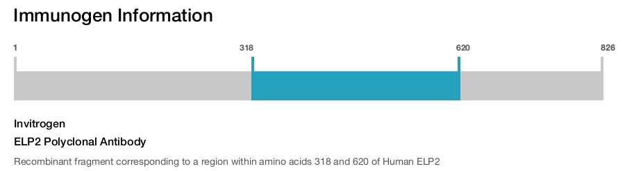 ELP2 Polyclonal Antibody