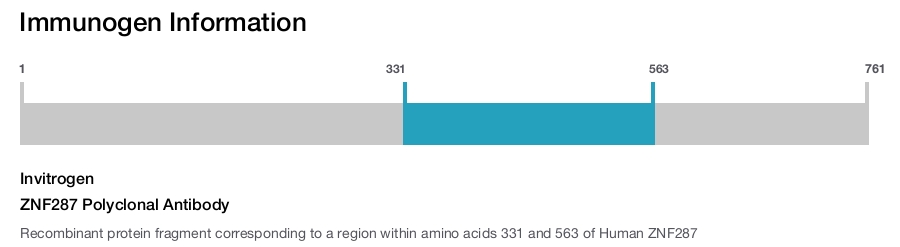 ZNF287 Polyclonal Antibody
