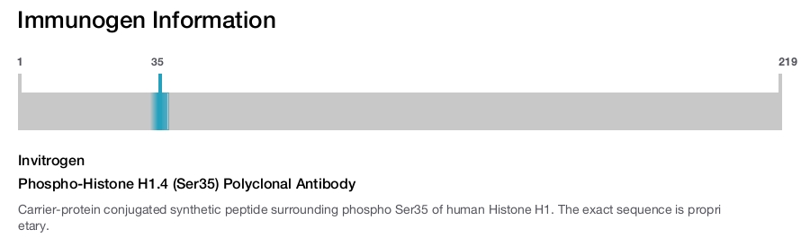 Phospho-Histone H1.4 (Ser35) Polyclonal Antibody