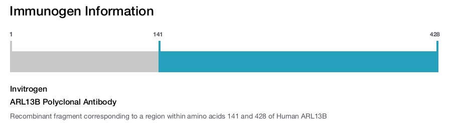 ARL13B Polyclonal Antibody