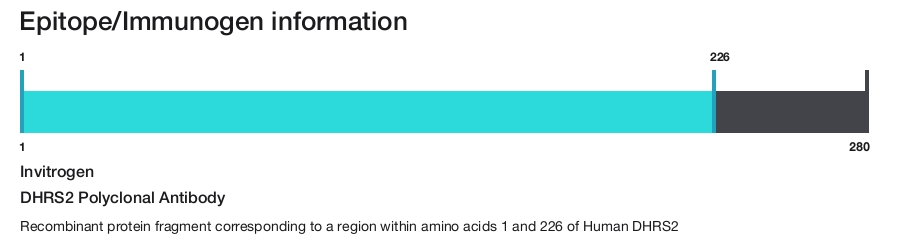 DHRS2 Polyclonal Antibody